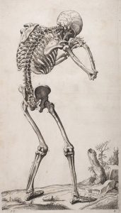 Affliction---Abrégé-d'anatomie-de-Roger-de-Piles-et-François-Tortebat