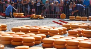 Lors du marché aux fromages tous les vendredi en été, on pèse, évalue, transporte et fait rouler ces ronds d'un orange appétissant !
