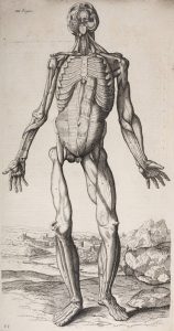 Chanteur-lugubre---Abrégé-d'anatomie-de-Roger-de-Piles-et-François-Tortebat