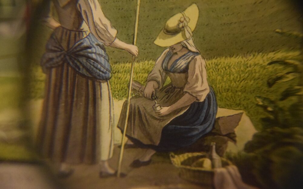 Détail - Vue de Genève - Biedermann- cabinet d'art graphique du Musée d'art et d'histoire de Genève