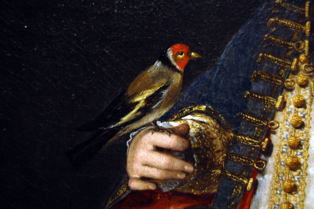 Petites bêtes - Détail - Portrait de Hasbourg présent au Schloss Ambras - Innsbruck (1)