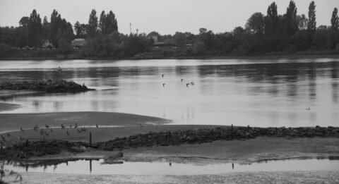 Habitations le long de la Loire, près de l'eau