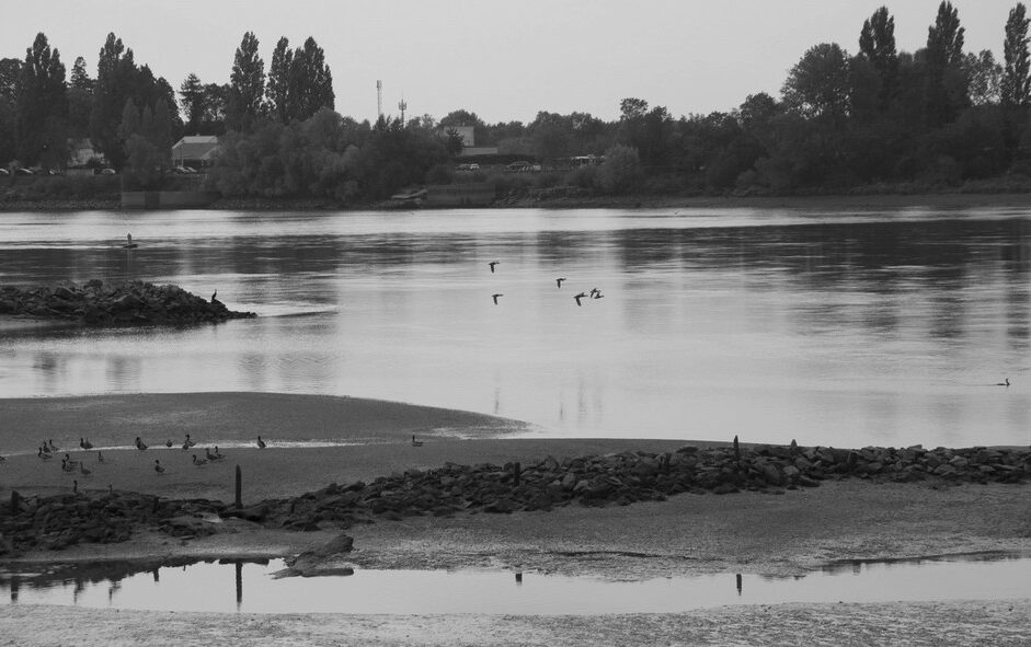Habitations le long de la Loire, près de l'eau