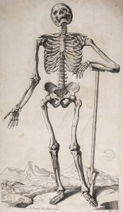 Humour-de-fossoyeur---Abrégé-d'anatomie-de-Roger-de-Piles-et-François-Tortebat