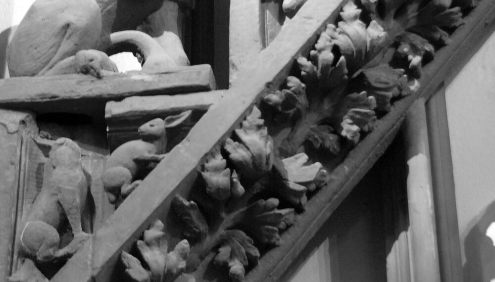 Petites bêtes - Musée de l'Œuvre Notre-Dame- Strasbourg (1)