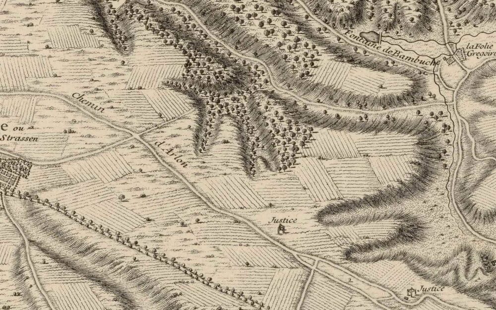 Plan de Luxembourg et de ses environs dédié au roy - 1735