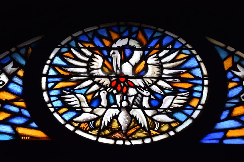 Vitrail - Pélican - église Saint-Just d'Arbois