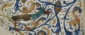 canard enluminure