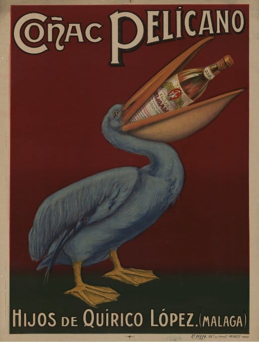 cognac pelicano