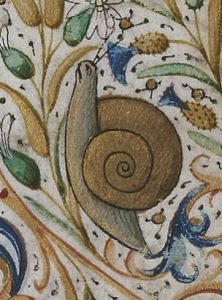 escargot enluminure