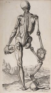 la-nonchalance---Abrégé-d'anatomie-de-Roger-de-Piles-et-François-Tortebat