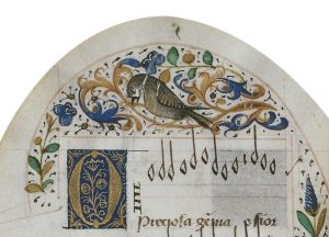 oiseaux notes enluminure