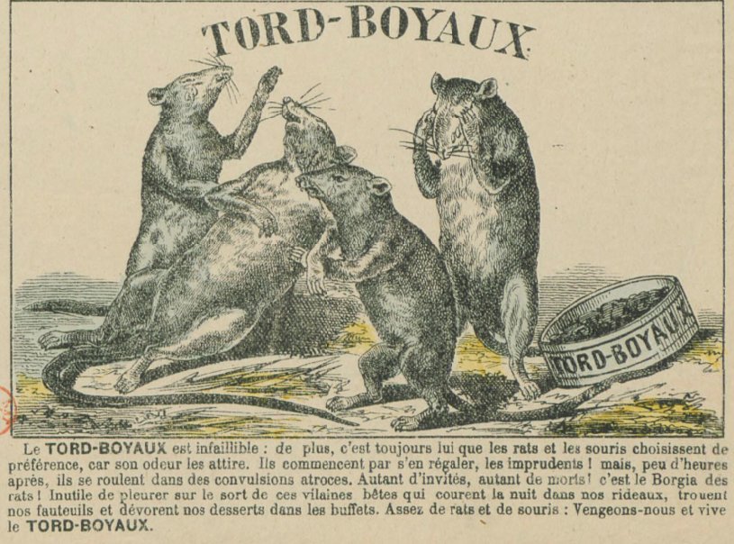 tord-boyaux