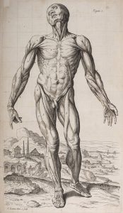 écorché---Abrégé-d'anatomie-de-Roger-de-Piles-et-François-Tortebat